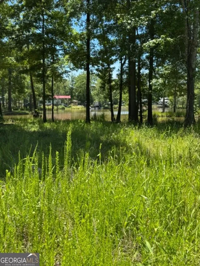 LOT 6 COUNTY ROAD 182 Cedar Bluff, AL 35959