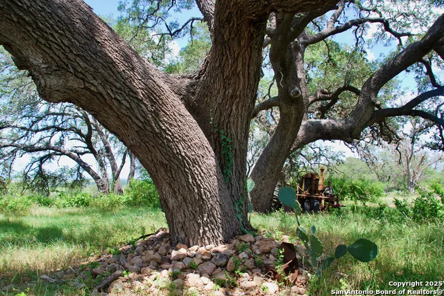 2725 Old Lehmann Seguin, TX 78155