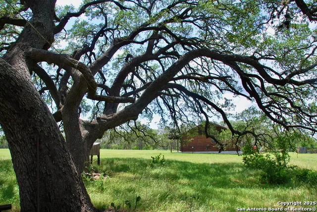 2725 Old Lehmann Seguin, TX 78155