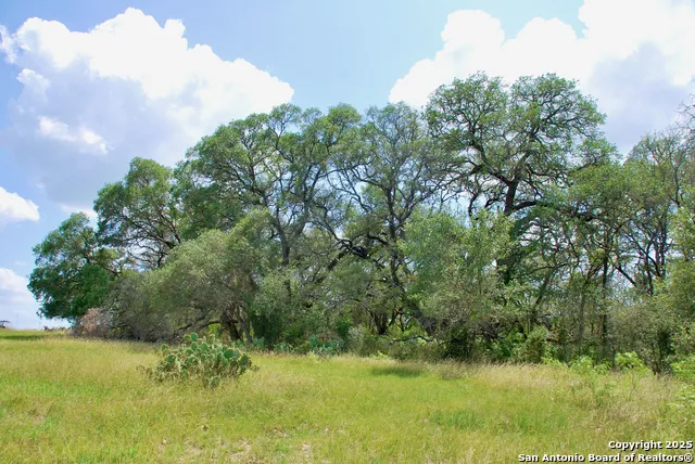 2725 Old Lehmann Seguin, TX 78155