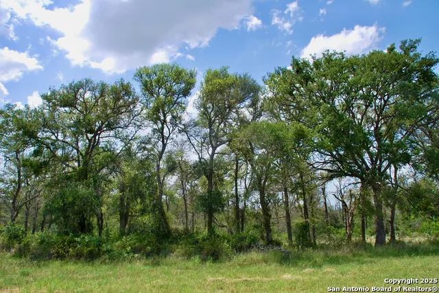 2725 Old Lehmann Seguin, TX 78155