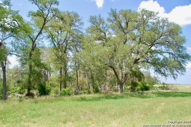 2725 Old Lehmann Seguin, TX 78155