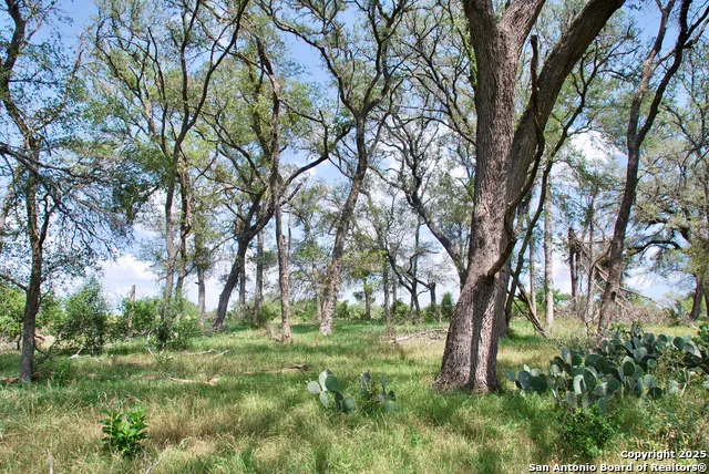 2725 Old Lehmann Seguin, TX 78155