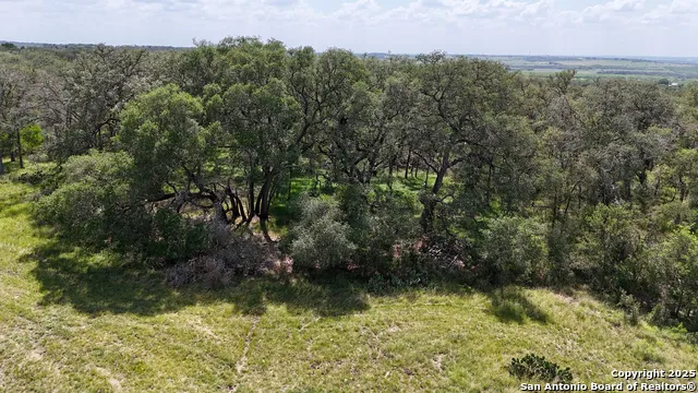 2725 Old Lehmann Seguin, TX 78155