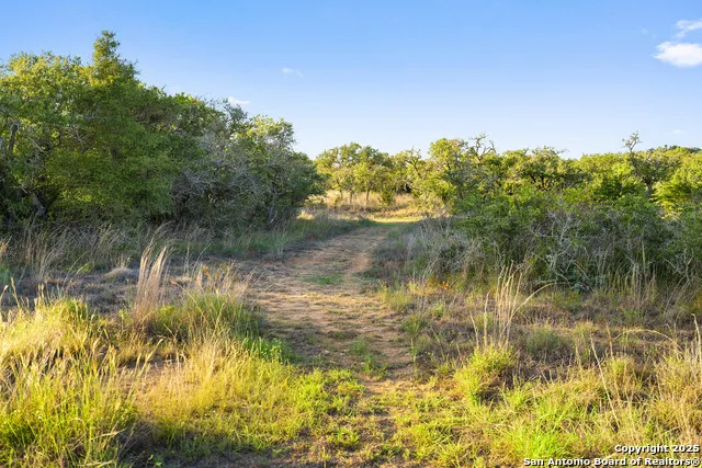 370 Gray Wolf Blanco, TX 78606