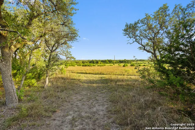 370 Gray Wolf Blanco, TX 78606