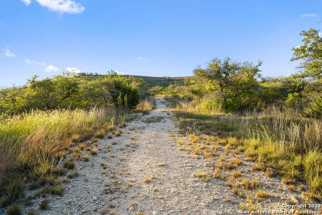 370 Gray Wolf Blanco, TX 78606