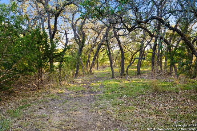 370 Gray Wolf Blanco, TX 78606