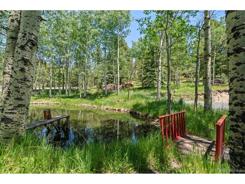 9030 Rex Lane Conifer, CO 80433