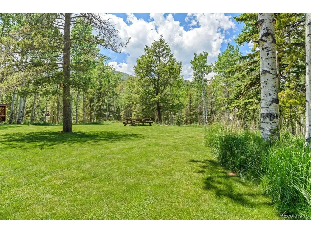 9030 Rex Lane Conifer, CO 80433