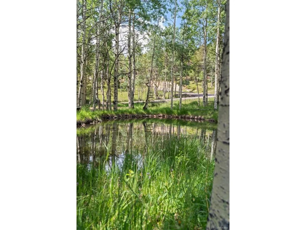 9030 Rex Lane Conifer, CO 80433