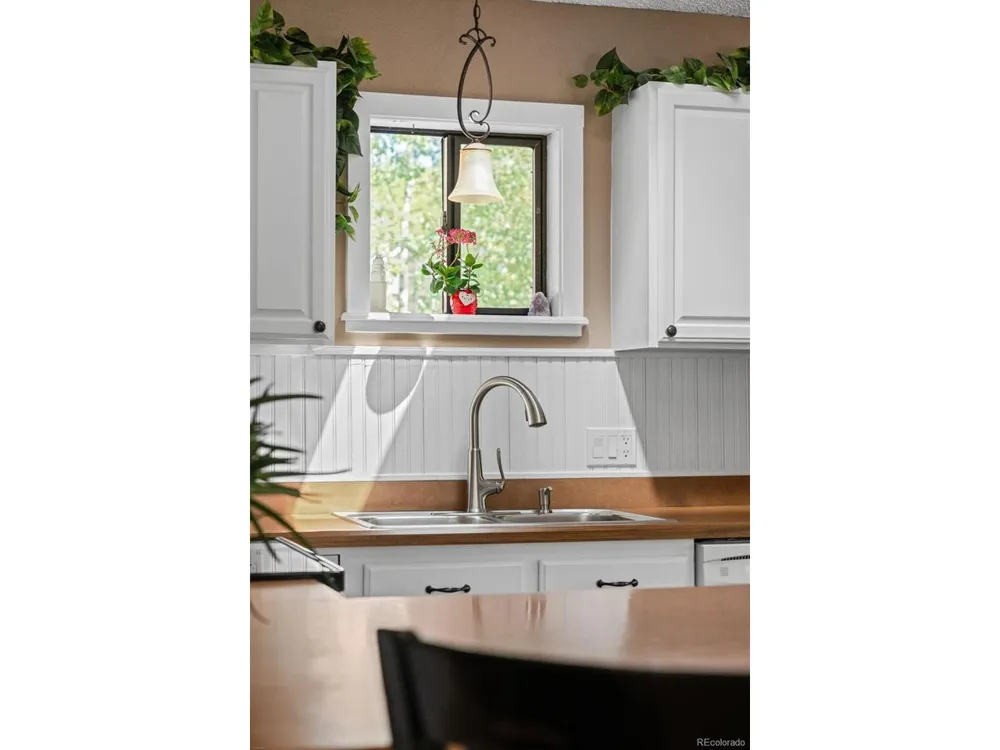 9030 Rex Lane Conifer, CO 80433