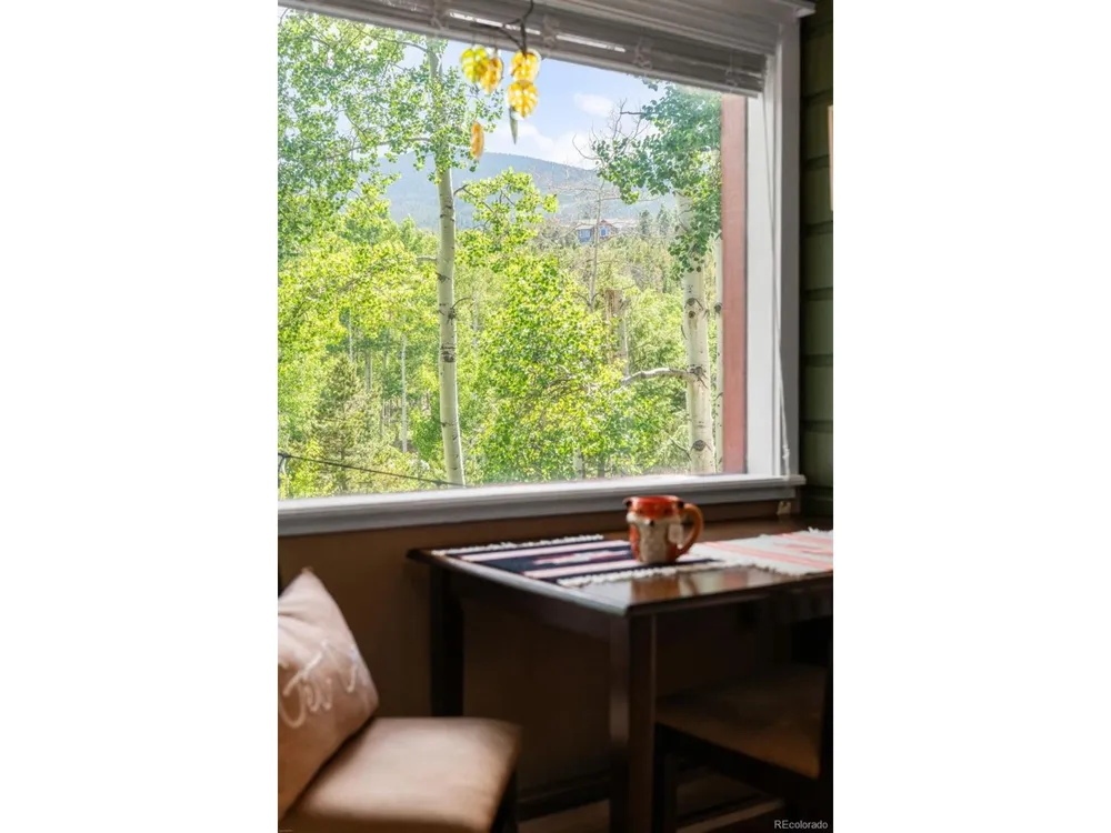 9030 Rex Lane Conifer, CO 80433