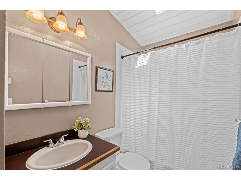 9030 Rex Lane Conifer, CO 80433