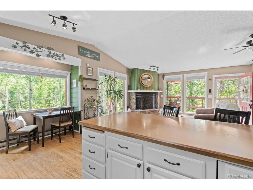9030 Rex Lane Conifer, CO 80433