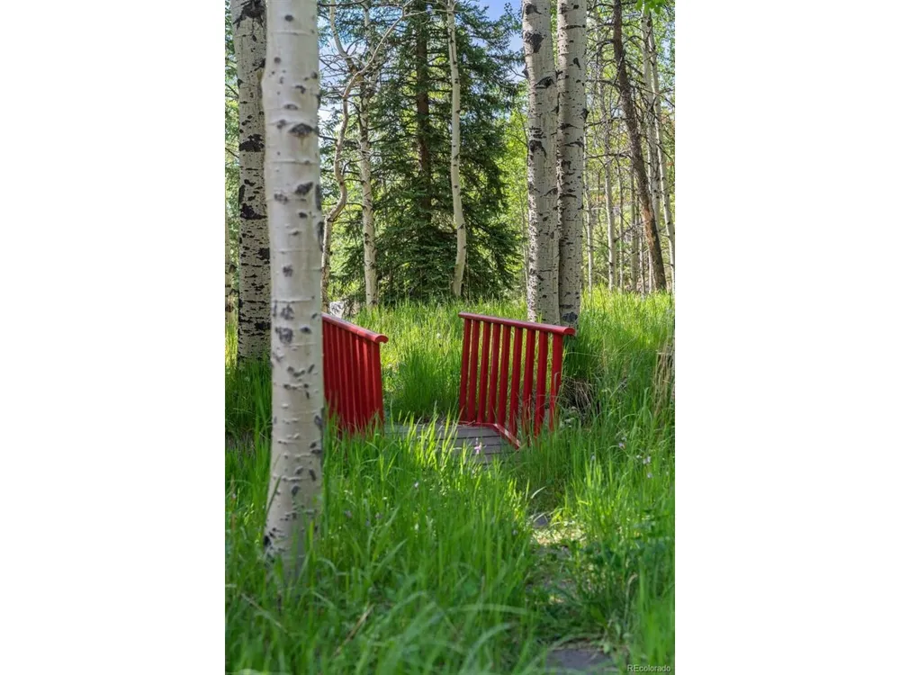 9030 Rex Lane Conifer, CO 80433