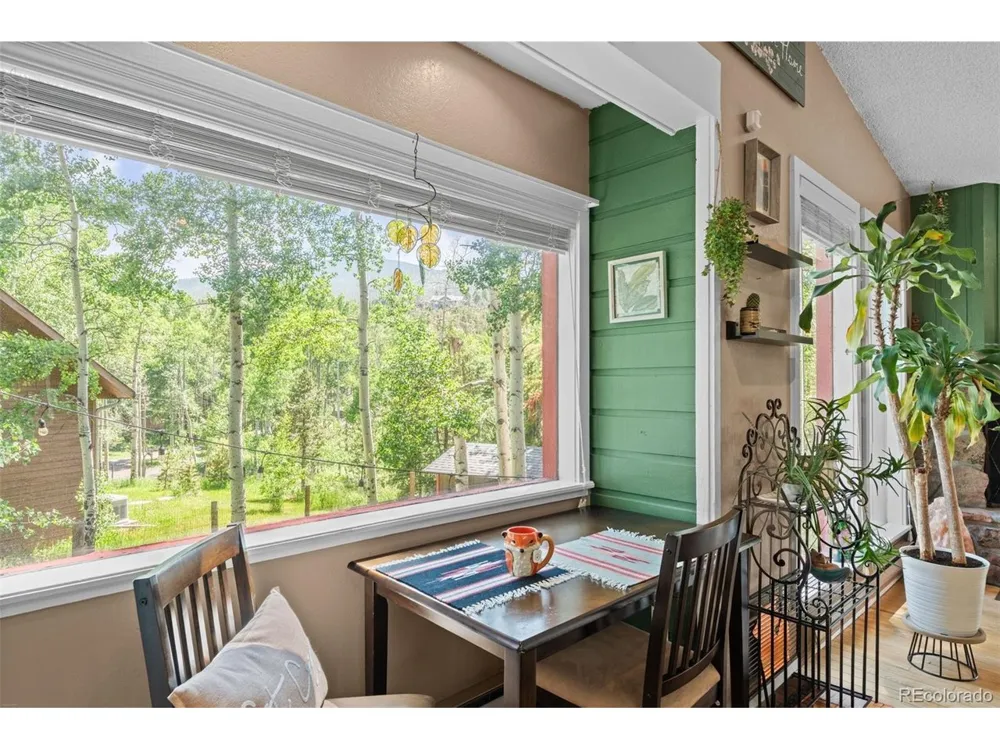 9030 Rex Lane Conifer, CO 80433