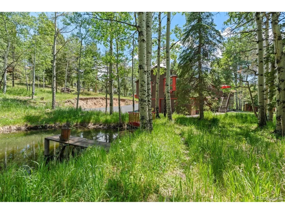 9030 Rex Lane Conifer, CO 80433
