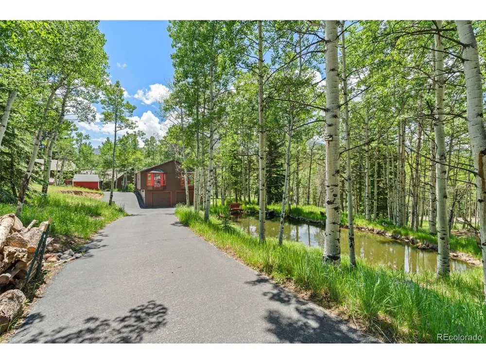 9030 Rex Lane Conifer, CO 80433