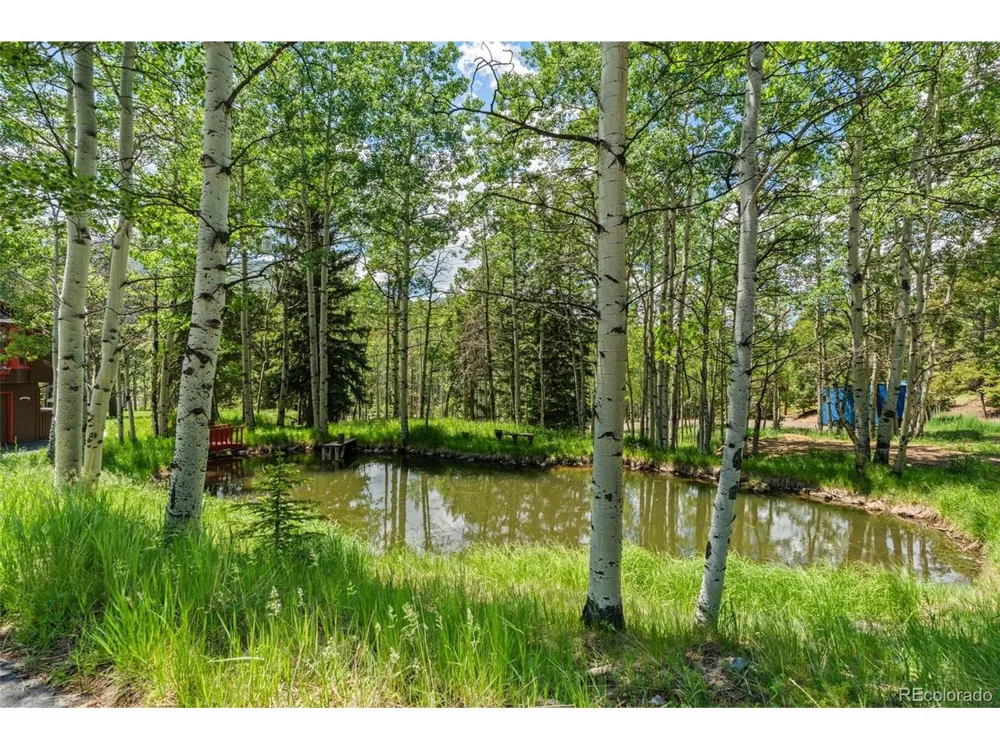 9030 Rex Lane Conifer, CO 80433