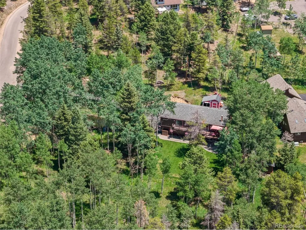 9030 Rex Lane Conifer, CO 80433