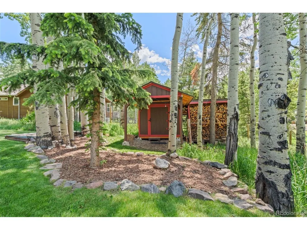 9030 Rex Lane Conifer, CO 80433