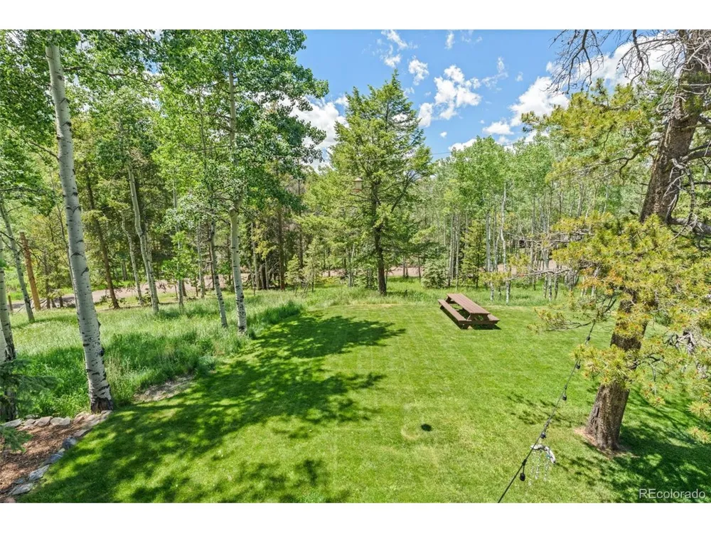 9030 Rex Lane Conifer, CO 80433