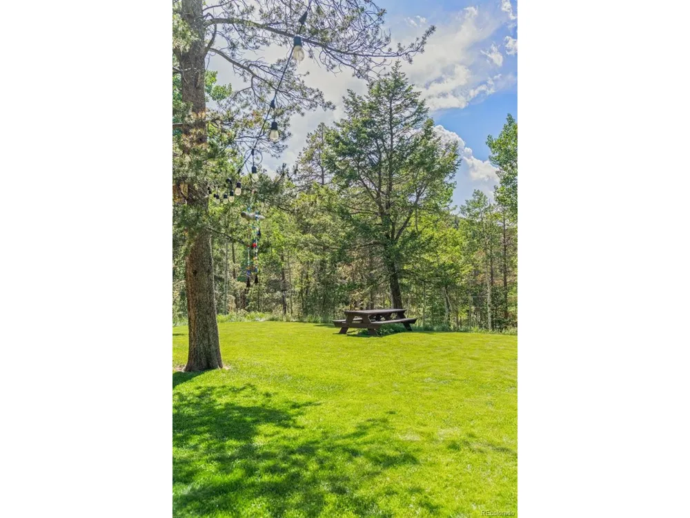 9030 Rex Lane Conifer, CO 80433