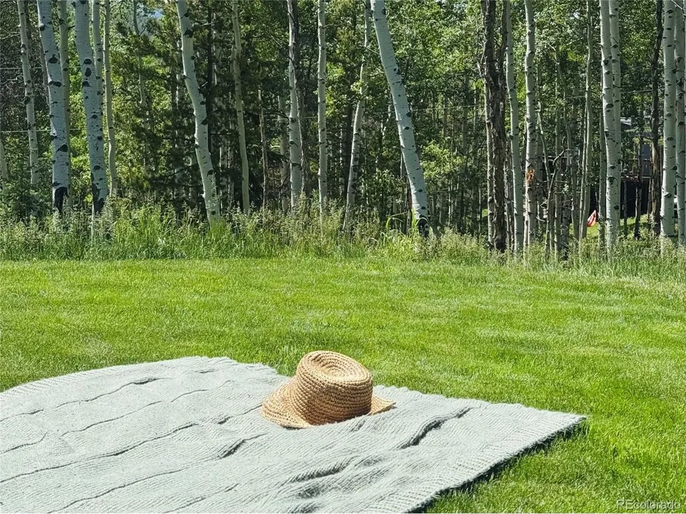 9030 Rex Lane Conifer, CO 80433