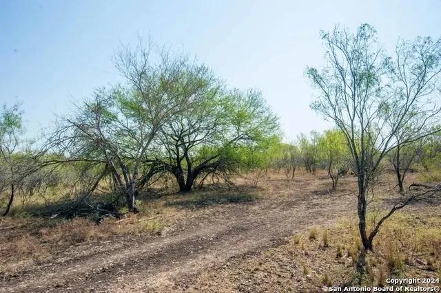 1400 Private Road 4620 Castroville, TX 78009