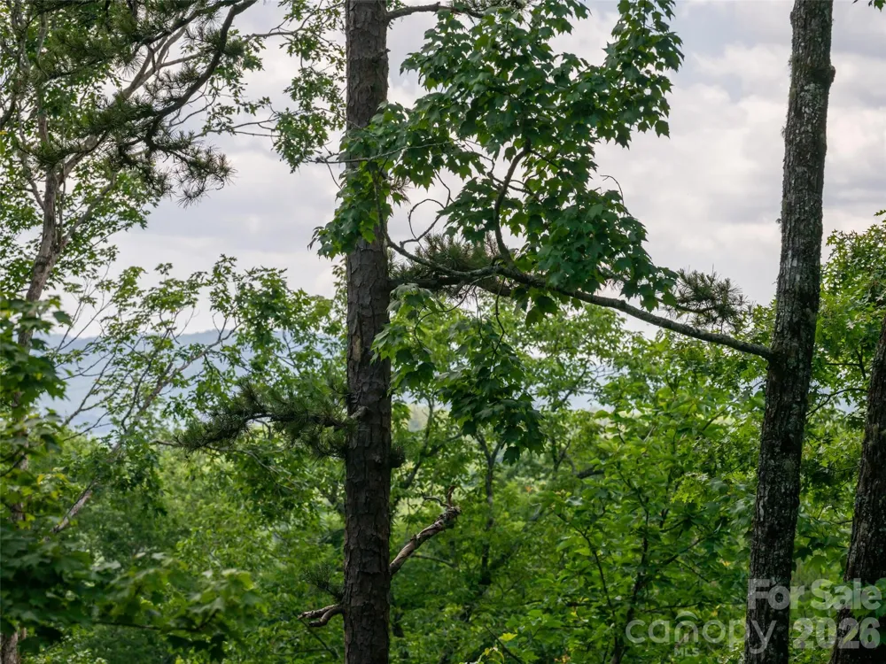78 Boyd View Lane Mills River, NC 28759
