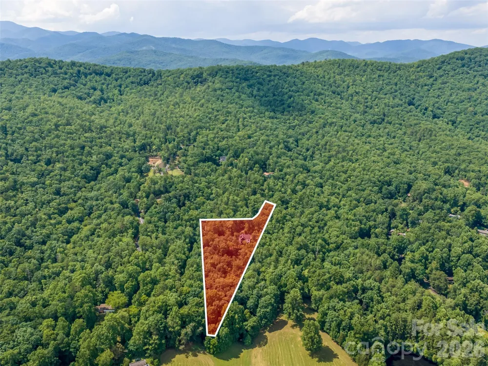 78 Boyd View Lane Mills River, NC 28759