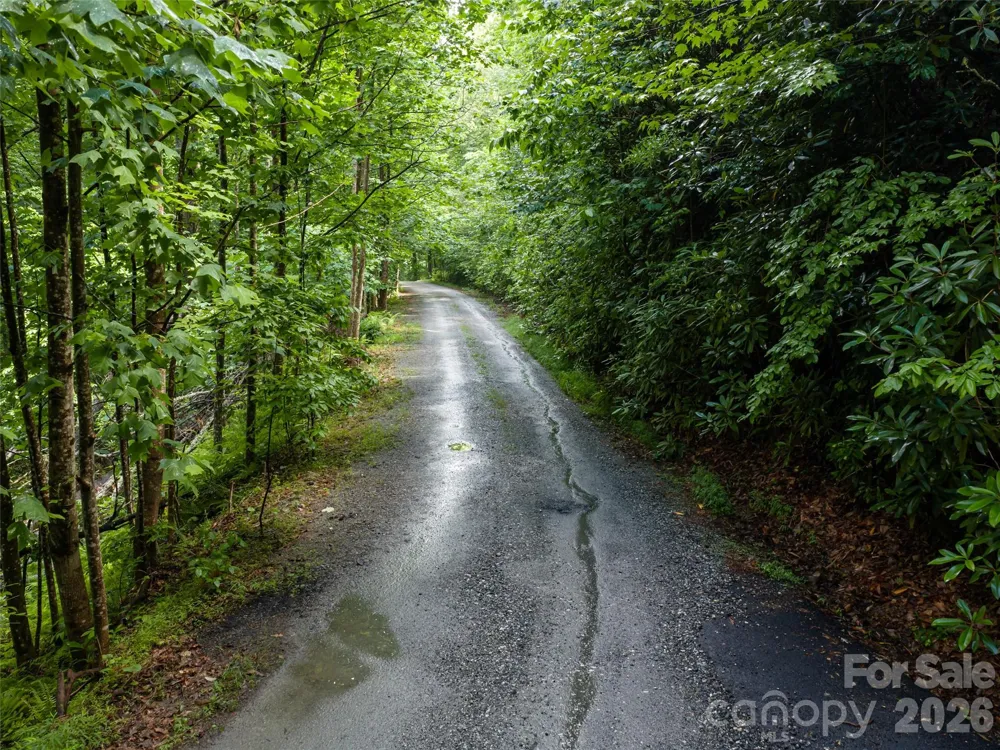 78 Boyd View Lane Mills River, NC 28759