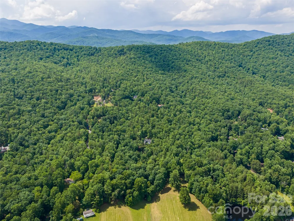 78 Boyd View Lane Mills River, NC 28759