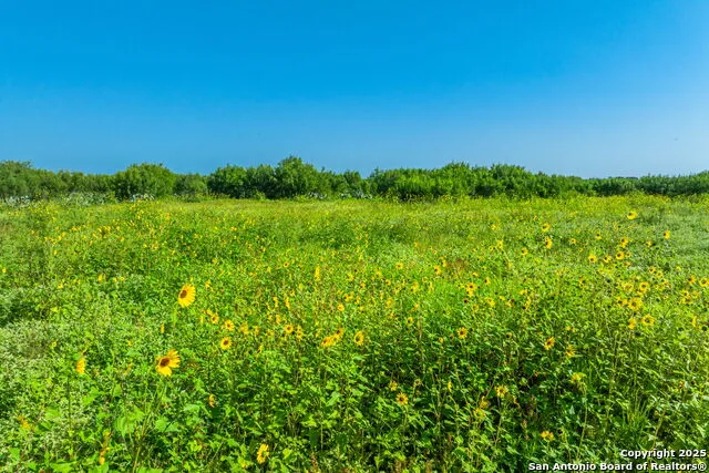 3911 County Road 1000 Pearsall, TX 78061