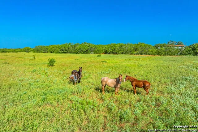 3911 County Road 1000 Pearsall, TX 78061