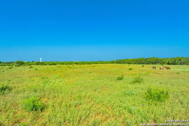 3911 County Road 1000 Pearsall, TX 78061