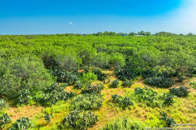 3911 County Road 1000 Pearsall, TX 78061
