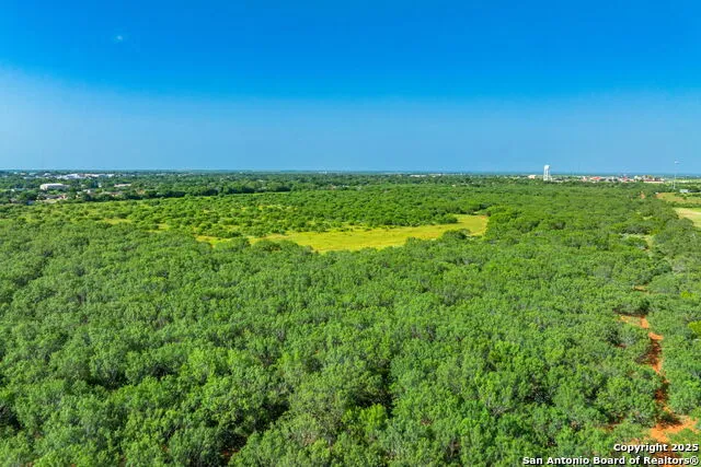 3911 County Road 1000 Pearsall, TX 78061