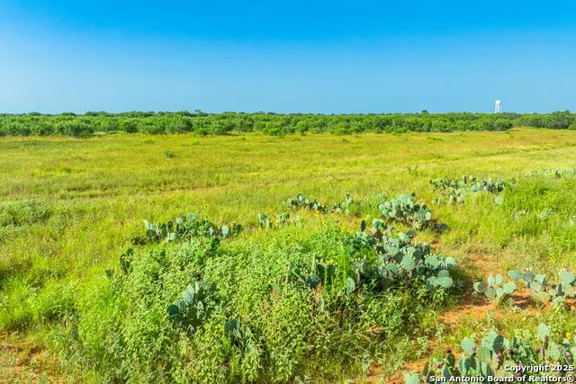 3911 County Road 1000 Pearsall, TX 78061