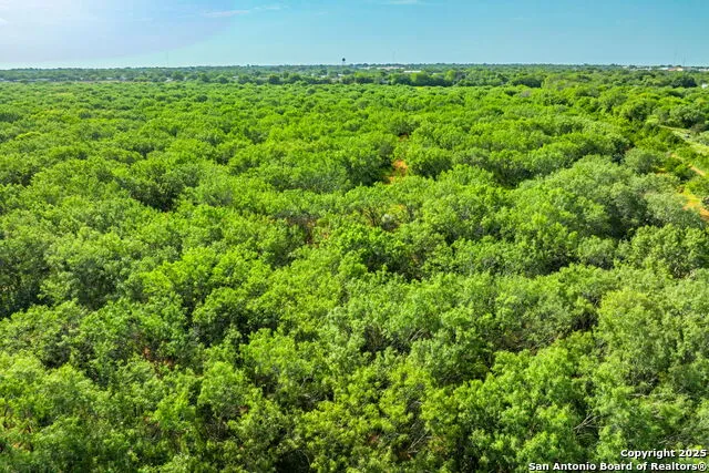3911 County Road 1000 Pearsall, TX 78061