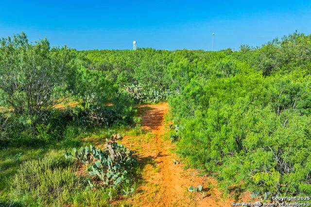 3911 County Road 1000 Pearsall, TX 78061