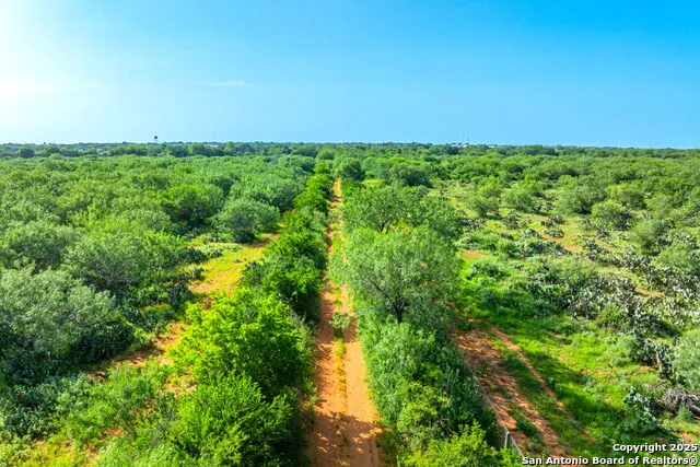 3911 County Road 1000 Pearsall, TX 78061