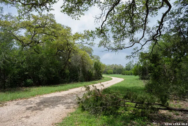 426 MILL RUN New Braunfels, TX 78132