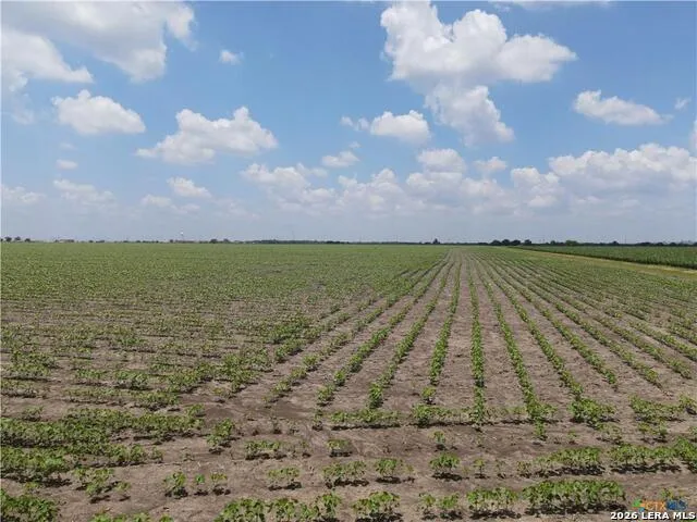 TBD Willmann Seguin, TX 78155