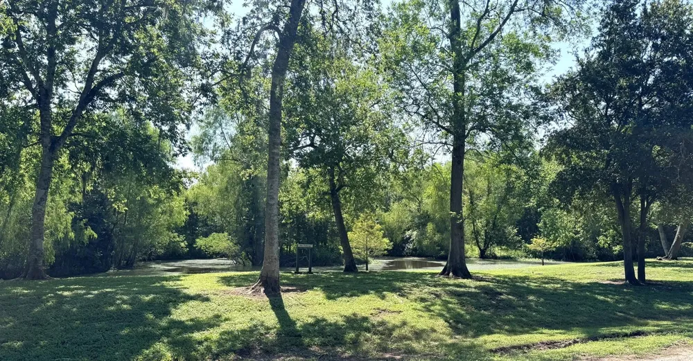 30934 Riverlake Rd Fulshear, TX 77441