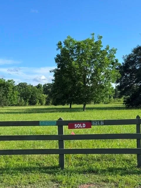 30934 Riverlake Rd Fulshear, TX 77441