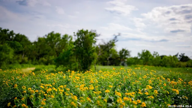 250 County Road 241 Hondo, TX 78861