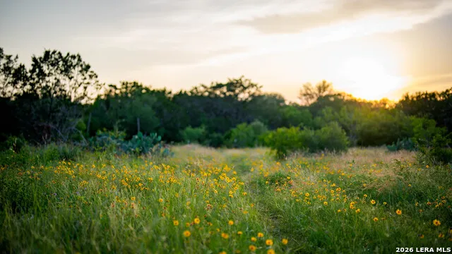 250 County Road 241 Hondo, TX 78861