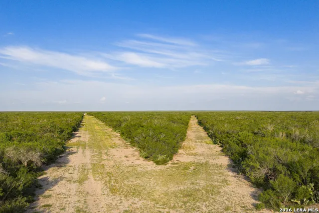 TBD CR 401 Freer, TX 78357